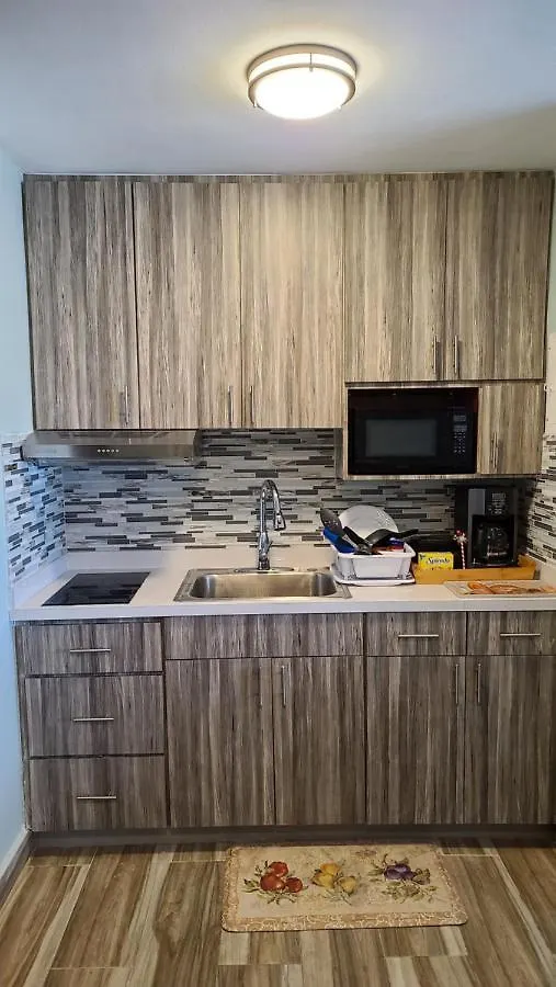 Beautiful Remodeled Condominiun With An Impecable View To The Beach And City Avenues Walk Distance To The Beach San Juan Portoryko
